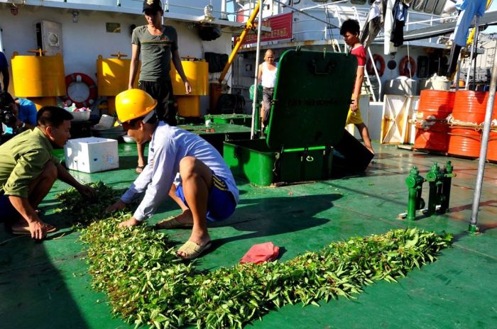 18192408_1313812378655675_448608142993218254_o