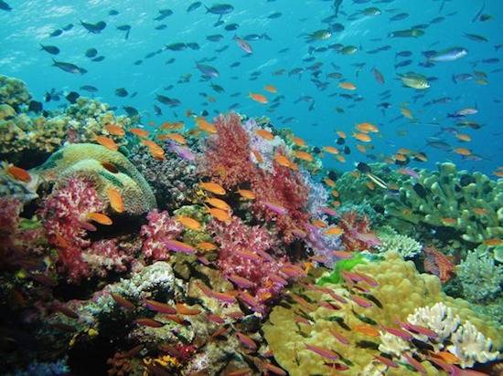 env-meanwhile-south-china-sea-02