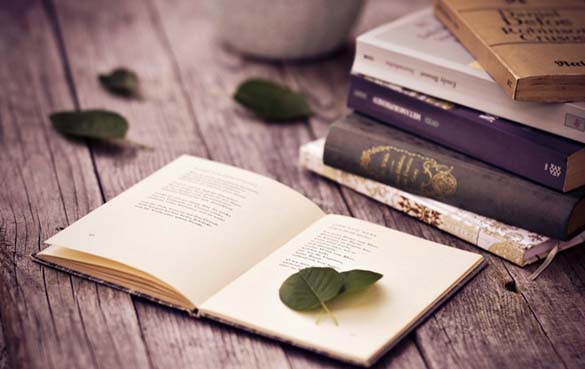 20-cau-noi-hay-tham-thia-nhat-ve-tam-quan-trong-cua-tri-thuc-chac-chan-se-khien-ban-tinh-ngo-1