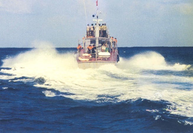 2124_191581233chotjpg